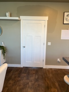 Dark wood-look floor in a room with a panelled door